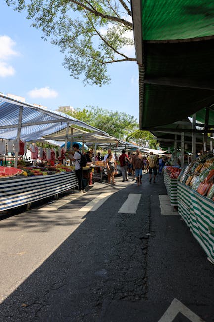 A busy outdoor market scene on a sunny day with clear blue sky and scattered clouds. Stalls with striped fabric canopies line both sides of a narrow, paved street, displaying fresh produce, packaged goods, and other items. Several shoppers are browsing and interacting with vendors, some holding shopping bags. The market area is shaded by large trees with green foliage, and the scene includes a mixture of casual clothing worn by visitors. In the background, the street extends, revealing more market stalls and people. The environment appears lively and well-organized, with a clear central walkway for pedestrians, all within an urban setting. This scene can relate to the logistics of home relocation or furniture transport, where careful packing and moving processes take place in market areas, highlighting the need for careful planning during home removals, such as those conducted by Man and Van Shacklewell.