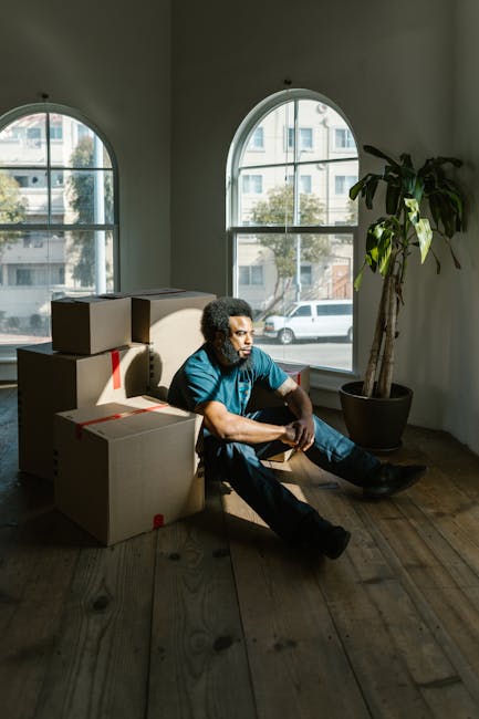 A man with curly dark hair and a beard, wearing a blue t-shirt and jeans, sits on a wooden floor inside a room with large arched windows allowing natural daylight to illuminate the space. The background shows a street scene with parked cars and modern buildings visible through the windows. Several flattened cardboard boxes, some sealed with red packing tape, are stacked beside him, indicating packing or unpacking activities during a home relocation process. A tall potted plant with broad green leaves is placed near the window on the right. The room appears to be in the midst of a move, with furniture and packing materials suggesting an ongoing furniture transport or moving service. This scene is associated with the services offered by Man and Van Shacklewell, providing last-minute removals options for house moves or furniture transport.