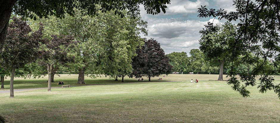 A wide view of Hackney Downs Park with a well-maintained grassy field and numerous mature trees with varying shades of green and dark purple foliage. The park is populated with a few people sitting on benches and lying on the grass, some engaging in leisure activities. Overhead, the sky is partly cloudy with patches of light grey clouds. In the foreground, tree branches extend into the frame, framing the scene and providing natural shade. The open space suggests an ideal environment for outdoor relaxation or community events, integral to the local area. This setting reflects a peaceful public park environment in Hackney with a focus on natural landscape and leisure activities, aligned with the themes of home relocation and move planning, such as providing a scenic context for property viewings or community connections facilitated by Man and Van Shacklewell.