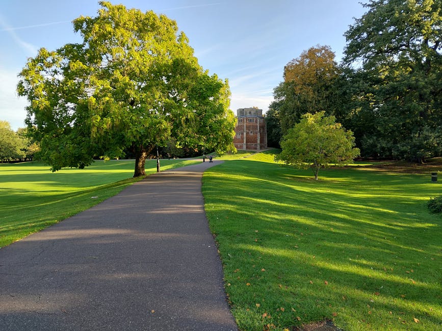 A paved pathway winding through Hackney Downs Park during daytime, with lush green grass on either side and several trees with full foliage, some showing early signs of autumn colour. The path is bordered by well-maintained lawns and large mature trees providing shade, with a large brick building visible in the background under a clear blue sky. The park appears calm and spacious, suitable for walking or outdoor activities, and the scene is naturally illuminated by sunlight. This setting is relevant to the context of local house removals and moving logistics, where outdoor access and park landscapes may impact loading and transport routes, as handled by specialists such as Man and Van Shacklewell.