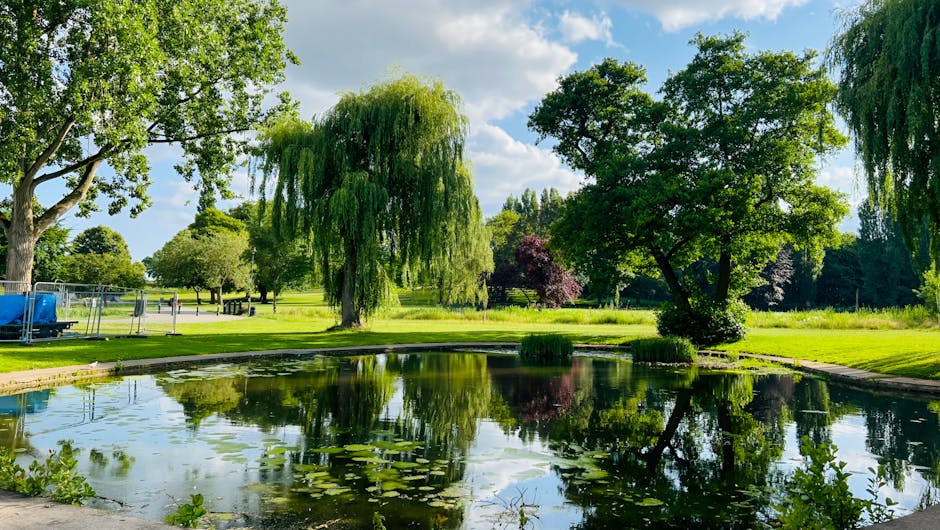 A wide view of Hackney Downs Park with a well-maintained grassy field and numerous mature trees with varying shades of green and dark purple foliage. The park is populated with a few people sitting on benches and lying on the grass, some engaging in leisure activities. Overhead, the sky is partly cloudy with patches of light grey clouds. In the foreground, tree branches extend into the frame, framing the scene and providing natural shade. The open space suggests an ideal environment for outdoor relaxation or community events, integral to the local area. This setting reflects a peaceful public park environment in Hackney with a focus on natural landscape and leisure activities, aligned with the themes of home relocation and move planning, such as providing a scenic context for property viewings or community connections facilitated by Man and Van Shacklewell.