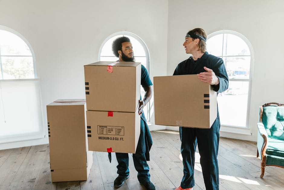Two individuals participating in a home relocation process outdoors on a city street. The person on the left is partially visible, carrying a stack of three cardboard boxes taped securely shut, with white labels reading 'BOOKS' and other partially visible labels. The person on the right, a woman with curly brown hair, is holding a wooden container filled with leafy green plants, preparing for packing and moving activities. They are standing on a paved sidewalk in front of a red building with glass doors, and are dressed in casual clothing suitable for moving tasks, with natural daylight illuminating the scene. The image depicts the packing stage of furniture transport and moving logistics, often coordinated by a professional removals service such as Man and Van Shacklewell.